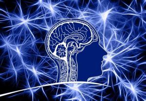 Symbolbild eines Gehirns und Nervenaktivitäten